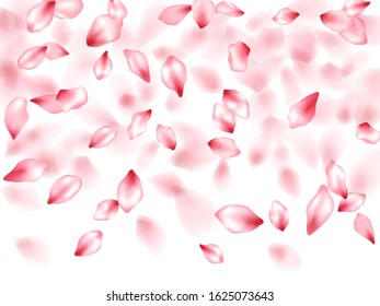 Apple flower flying petals isolated on white. Tender floral background. Japanese sakura petals seasonal confetti, blossom elements flying. Falling cherry bloom flower parts design.