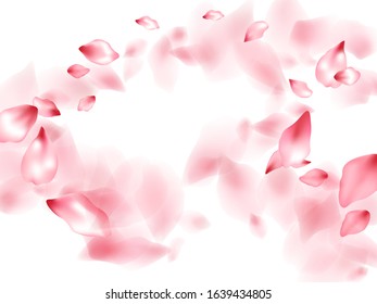 Apple flower flying petals isolated on white. Light beauty salon background. Japanese sakura petals springtime confetti, blossom elements flying. Falling cherry blossom flower parts design.