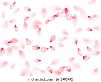 Apple flower flying petals isolated on white. Glamour beauty salon background. Japanese sakura petals springtime confetti, blossom elements flying. Falling cherry blooming flower parts design.