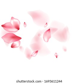 Pétalos voladores de flores de manzana aislados en blanco. Fondo floral de glamur. Pétalos sakura japoneses confietti estacional, elementos florales volando. Vector de partes florales en flor de cerezo.