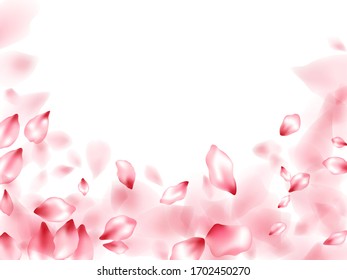 Apple flower flying petals isolated on white. Modern beauty salon background. Japanese sakura petals spring confetti, blossom elements flying. Falling cherry bloom flower parts design.