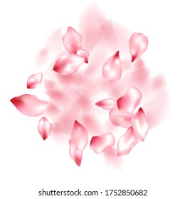 Apple flower flying petals isolated on white. Colorful beauty salon background. Japanese sakura petals spring confetti, blossom elements flying. Falling cherry blossom flower parts vector.