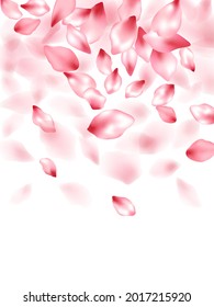 Apple flower flying petals isolated on white. Airy beauty salon background. Japanese sakura petals spring confetti, blossom elements flying. Falling cherry blossom flower parts vector.