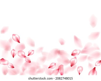 Apple flower flying petals isolated on white. Blowing floral background. Japanese sakura petals springtime confetti, blossom elements flying. Falling cherry blooming flower parts design.