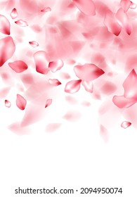 Apple flower flying petals isolated on white. Magic floral background. Japanese sakura petals seasonal confetti, blossom elements flying. Falling cherry blossom flower parts design.