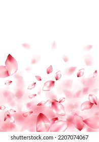 Apple flower flying petals isolated on white. Idyllic beauty salon background. Japanese sakura petals spring confetti, blossom elements flying. Falling cherry blossom flower parts design.