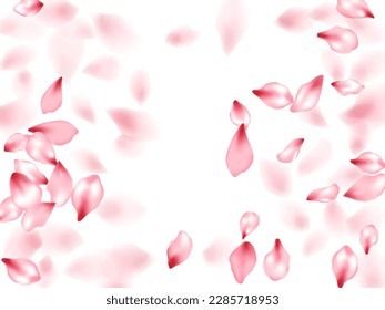 Apple flower flying petals isolated on white. Magic beauty salon background. Japanese sakura petals springtime confetti, blossom elements flying. Falling cherry bloom flower parts design.