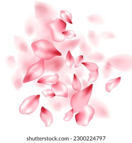 Apple flower flying petals isolated on white. Elegant floral background. Japanese sakura petals spring confetti, blossom elements flying. Falling cherry blossom flower parts vector.