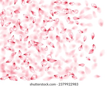 Apple flower flying petals isolated on white. Elegant floral background. Japanese sakura petals spring confetti, blossom elements flying. Falling cherry blooming flower parts vector.