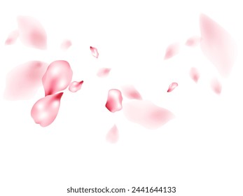 Apple flower flying petals isolated on white. Idyllic beauty salon background. Japanese sakura petals seasonal confetti, blossom elements flying. Falling cherry blooming flower parts design.