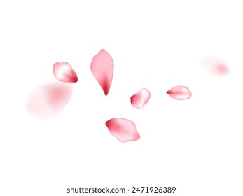 Apple flower flying petals isolated on white. Idyllic beauty salon background. Japanese sakura petals spring confetti, blossom elements flying. Falling cherry bloom flower parts vector.