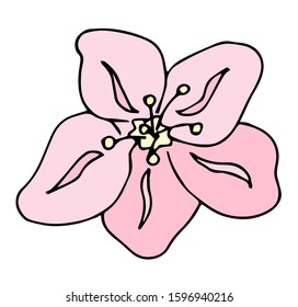 Apple flower icon, vector fruit illustration isolated on white background, flat fresh beauty flowers.	
