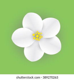 Apple flower on a green background.