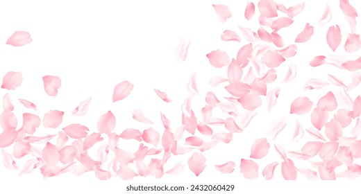 Apple flower petals flying down vector background. Spring blossom elements isolates on white. Blossom petals confetti spring pattern. Cherry flower petals isolated on white, falling .