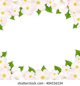 Apple Flowers Border With Gradient Mesh, Vector Illustration