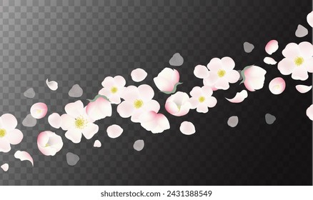 Borde De Flores De Manzana Aislado Transparente Con Malla De Degradado, Ilustración Vectorial