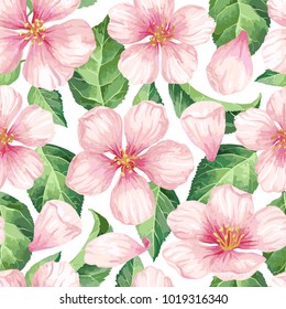 Apple flowers, petals and leaves in watercolor style on white background. Seamless pattern for textile, wrapping paper, package, Art vector illustration.