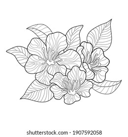 Flowers Coloring Book Hd Stock Images Shutterstock