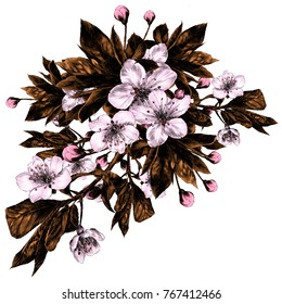 Apple flowers sketch vector graphics color picture