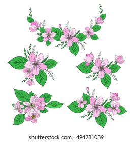 Apple flowers tree blossom, bud, leaf, branch colorful botanical sketch hand drawn isolated on white,floral vector bouquet for greeting card, package design  cosmetic, wedding invitation, wallpaper