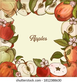 Apple frame. Slices, flowers, leaves. Organic food, vector doodle hand drawn color sketch style illustrations collection for background.	