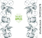 Apple frame vector illustration. Vector card design with apple and leaf.