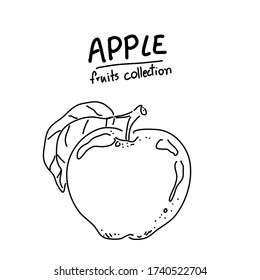 Diseño de dibujo a mano alzada de Apple del vector. Colección de frutas. Estilo de ilustración de Doodle.