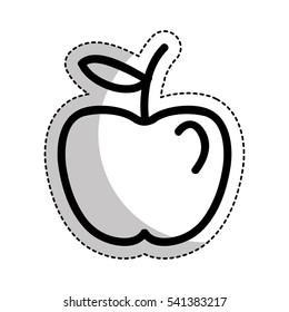 apple fresh fruit drawing icon vector illustration design