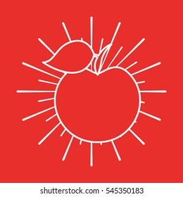 apple fresh fruit drawing icon vector illustration design