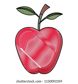 apple fresh fruit healthy
