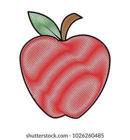 apple fresh fruit icon