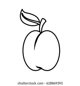 apple fresh fruit icon