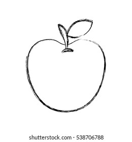 apple fresh fruit icon vector illustration design