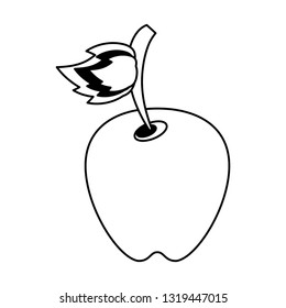 apple fresh fruit isolated black and white