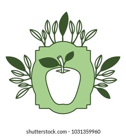 apple fresh fruit with leafs frame