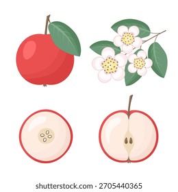 Fruta de manzana, flores de flor. Ilustración vectorial para estampado, fondos, fundas y embalaje. La Imagen se puede utilizar para tarjetas de felicitación, carteles, pegatinas y textiles. Aislado sobre fondo blanco.