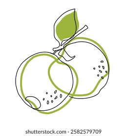Apple fruit in continuous line art drawing style. Apples fruit concept in line art illustration. Vector art illustration.