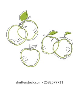 Apple fruit in continuous line art drawing style. Apples fruit concept in line art illustration. Vector art illustration.