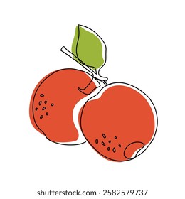 Apple fruit in continuous line art drawing style. Apples fruit concept in line art illustration. Vector art illustration.