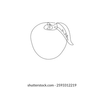 Apple fruit continuous line. Continuous one line drawing apple fruit. Fresh apple concept. single line drawing