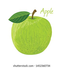 Apple, fruit doodle drawings vector illustration.
