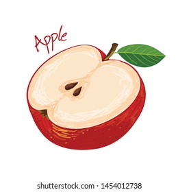 Apple, fruit doodle drawings vector illustration.