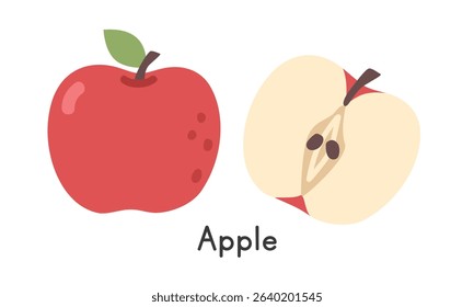 Apple fruit flat vector illustration. Red apple or Malus cartoon clipart style isolated on white background. Whole appe and Half apple. Common fruit concept