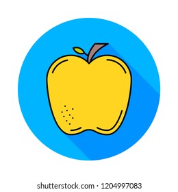 apple  fruit   food 