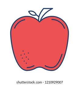 apple  fruit   food 