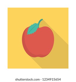 apple  fruit  food 