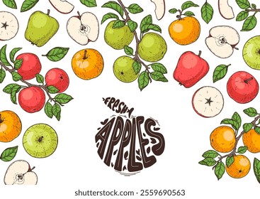 Apple fruit frame. Hand drawn vector illustration. Apple collection.