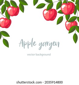 Apple fruit frame. Apple tree garden template. Orchard background. Vector illustration.