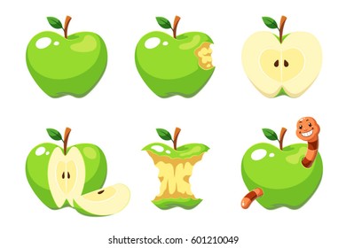 Apple fruit green vector set.