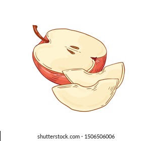 Apple fruit hand drawn vector illustration. Peeled apple pieces realistic design element isolated on white. Healthy nutrition, organic food, eco product. Fresh fruit detailed botanical drawing.